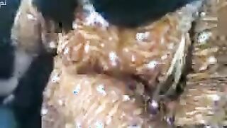 البنت بتقلع الاندر بتاعها وتنزله شويه وبتلعب موقع سكس  في كسها بصباعها وتبعبص فيه اوي بتضرب شسبعه ونص وتنزل لبنها