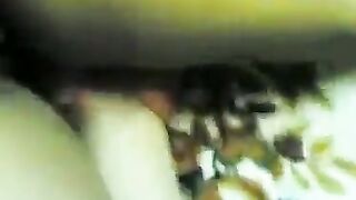 الشرموطه نايمه عالارض سكس كلاب   بالكاش مايوه الاصفر بتاعه وكسها بياكل فيها قامت تلعب في كسها بصباع ايدها وتحك فيه اوي