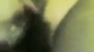 جوزي بينيكني اوي مش قادره ااه خلاص سيبني كفايه وشي احمر من النيك وكسي اتفشخ وببكي اوي  سكس مصري مش قادره عليه بقاله اكتر من ساعه فاشخ كسي ااه
