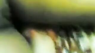 البنت نايمه عالارض وحاطه المخده تحت راسها نايمه علي بطنها وبتقوم تلعب في كسها وخرم طيزها سكس مصري جامد  من ورا وتشم فيه اوي وهي هايجه علي نفسها