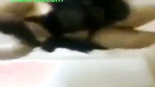 الر قاصه الشرموطه بترقص لحبيبها بقميصها الاسود وتتهز ليه اوي وه  سكس مصري و بيتفرج علي جسمها الطلق وهو بيتحرك اوي