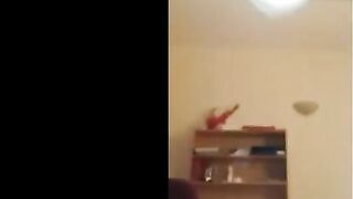 الفاجره في الصاله واقفه بتقلع لبسها وحبيبها قاعد عالارض مستنيها وب  سكس مصري تنزل تقعد جنبه عالارض بتلعب له في زوبره