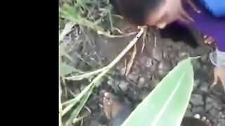 الراجل الخول واخد حبيبته في وسط الزرع ومنومها  نيك مصري عالطين ومنزل بنطلونهات ال لبساه بيحك زوبره في كسها وبيبوس فيها
