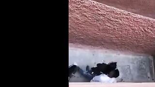 البنت عالسلم بتقابل ابن عمها ساكنين في بيت واحد وبيقفش في بزازها الكبار وبيمس  سكس مصري كها منهم وهي راضيه ومتكيفه من ال بيعمله